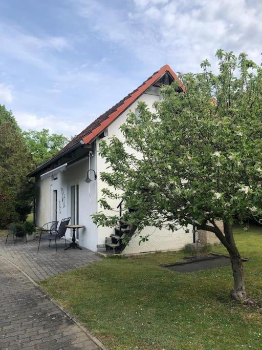 Lakeside Studio - Haus Mit Seezugang Königs Wusterhausen Esterno foto